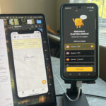 small wins method app