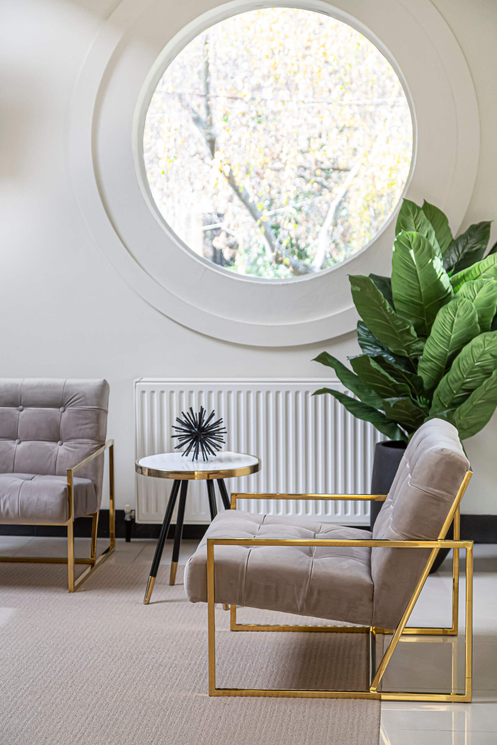 coffee table 2023 11 27 04 53 53 utc scaled.jpg